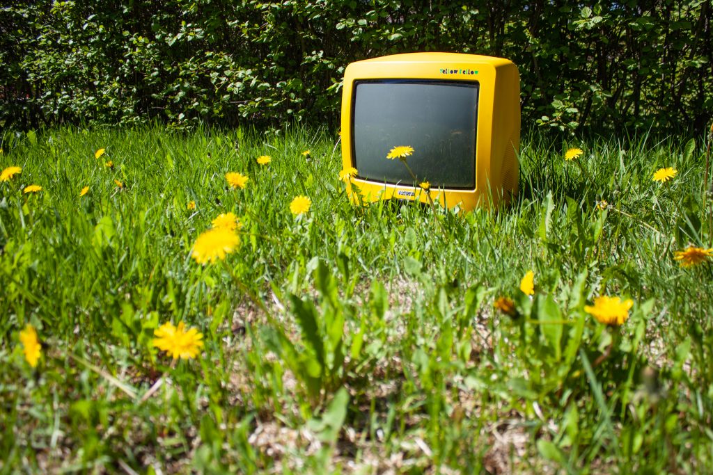 Keltainen matka tv voikukkakedolla